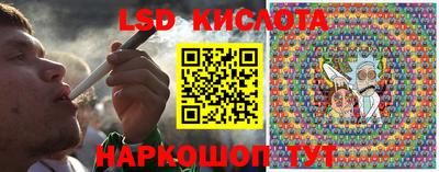 индика Обь