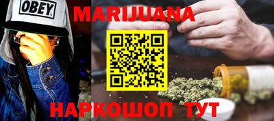 индика Обь