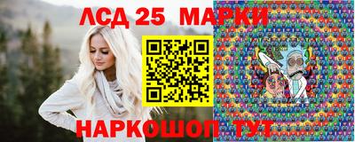 индика Обь