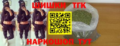 индика Обь