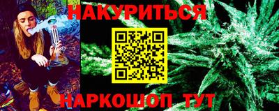 индика Обь