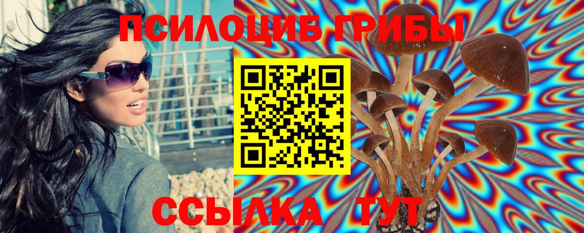 Псилоцибиновые грибы Psilocybe  Галлюциногенные грибы ЛСД  Тавда  Вход с VPN 